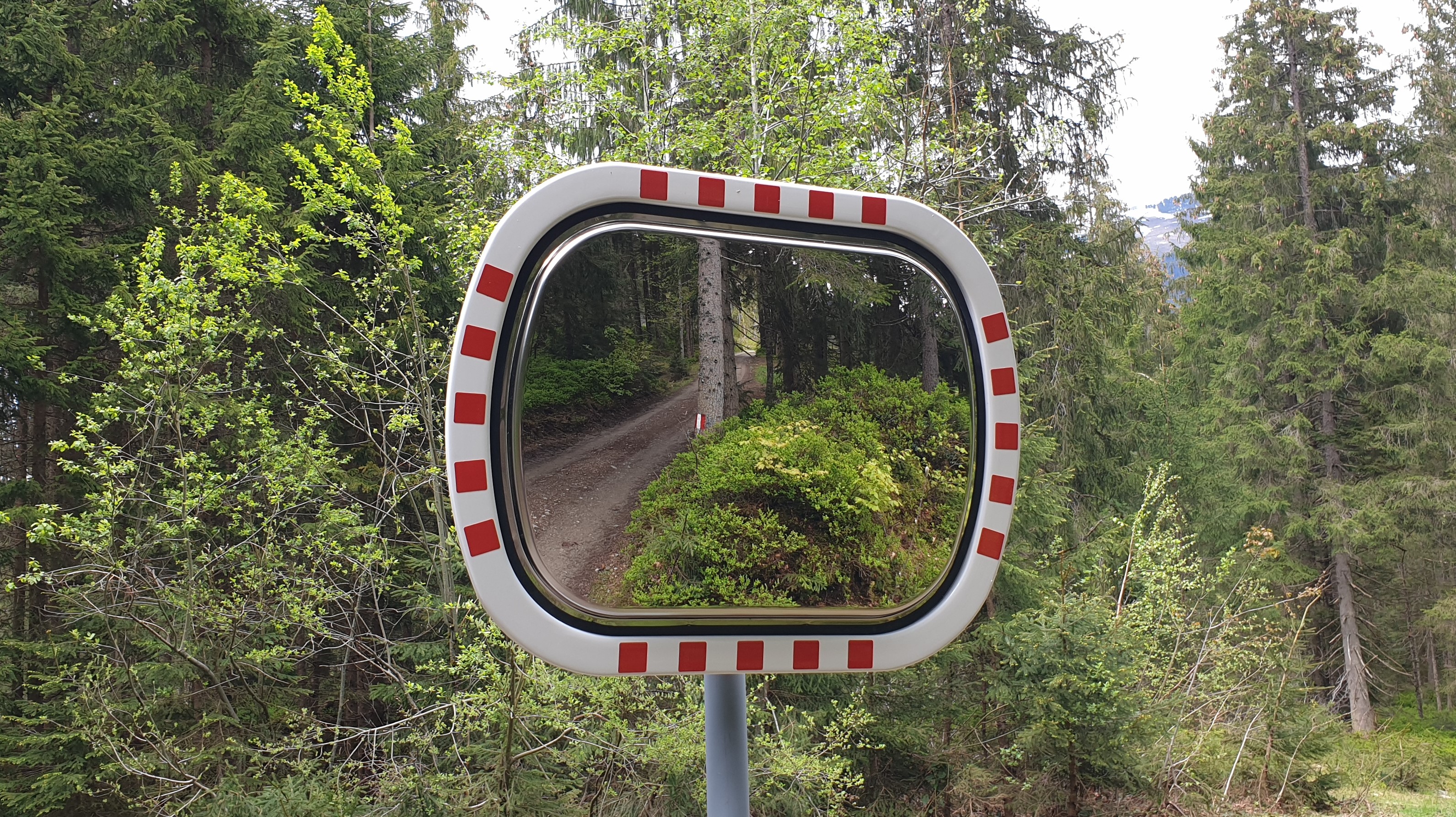 Verkehrsspiegel 700x900 mm mit rotem Rahmen auf Forstweg montiert, spiegelt Waldweg und Bäume