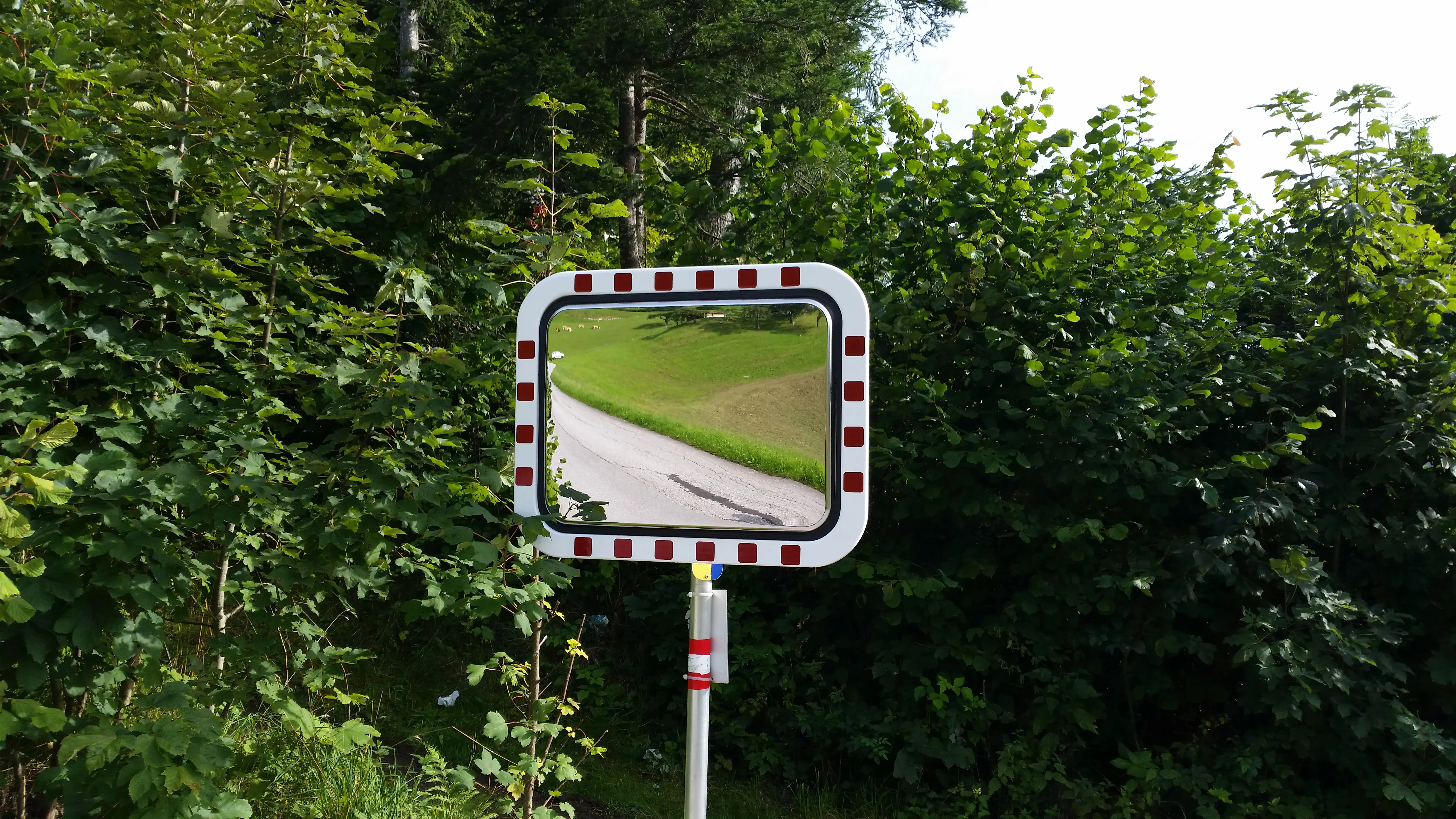 Verkehrsspiegel 600x800 mm mit rot-weißem Rahmen an einer Straße im Grünen montiert