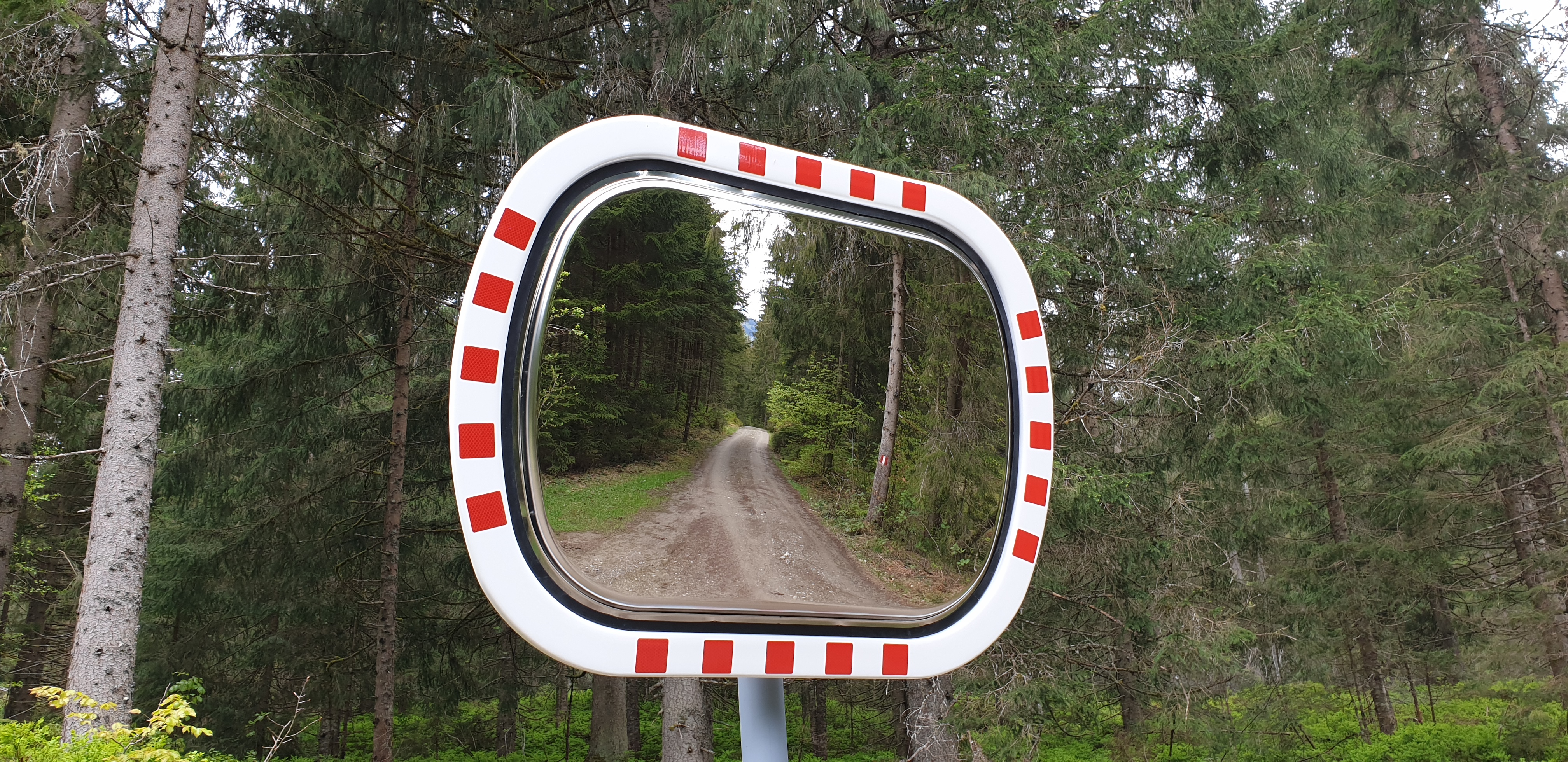 Verkehrsspiegel mit rot-weißem Rahmen, montiert im Waldgebiet. Der Spiegel reflektiert einen unbefestigten Forstweg, der gerade durch einen dichten Nadelwald führt.